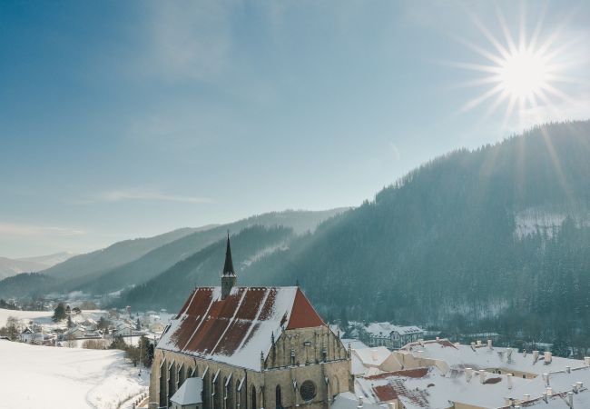 Neuberger Münster im Winter