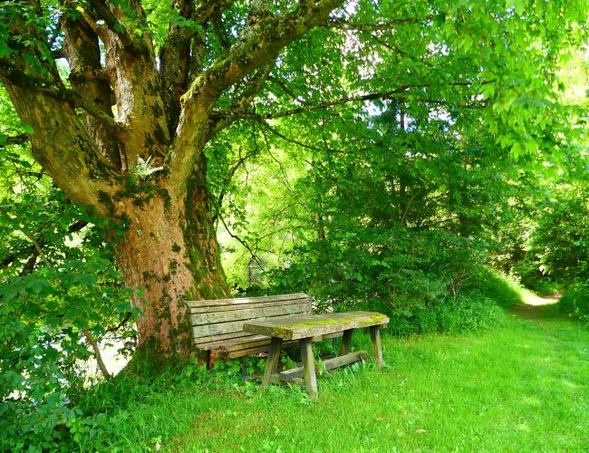 Rundwanderweg Sonnenmeile im Ortsteil Kapellen